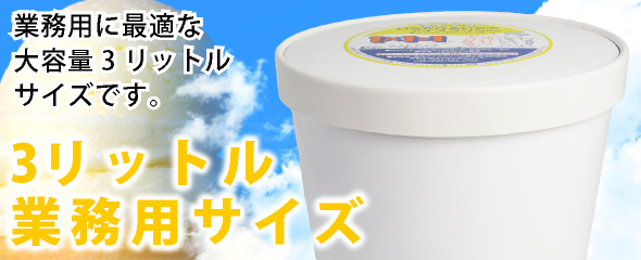 アイスクリン 3L